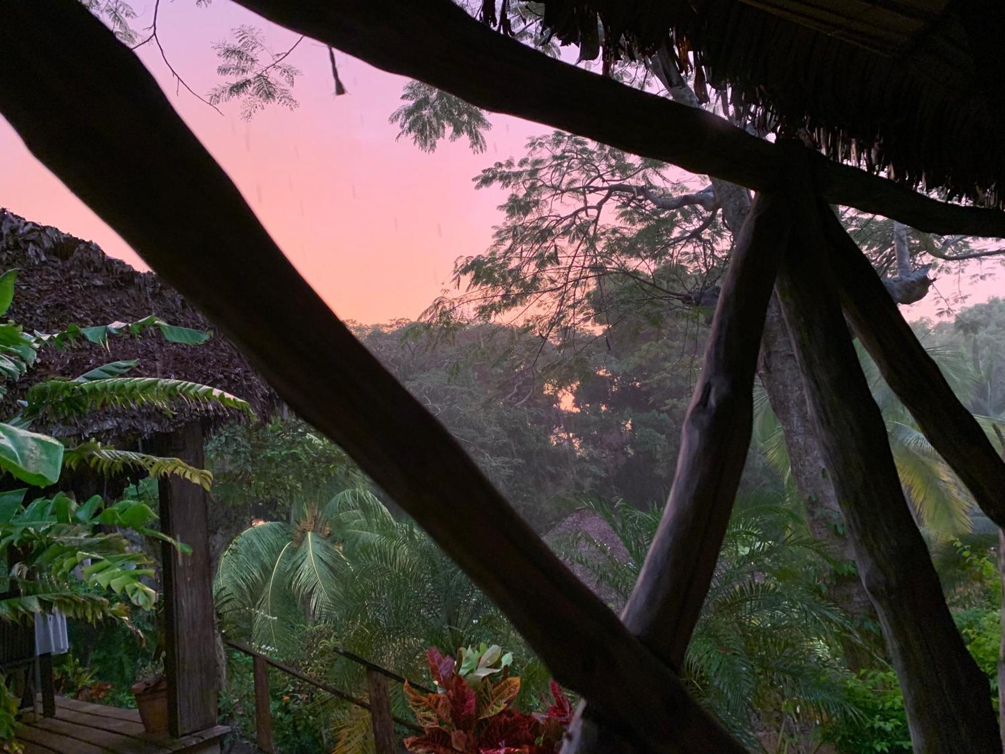 Les Jardins D'Ankify Bed & Breakfast Andimaka Bagian luar foto