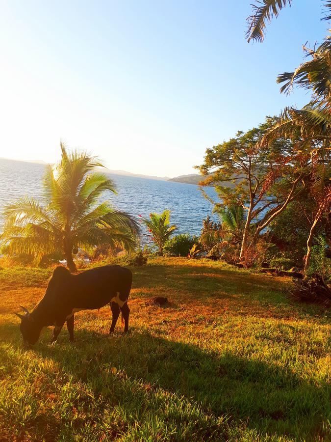 Les Jardins D'Ankify Bed & Breakfast Andimaka Bagian luar foto