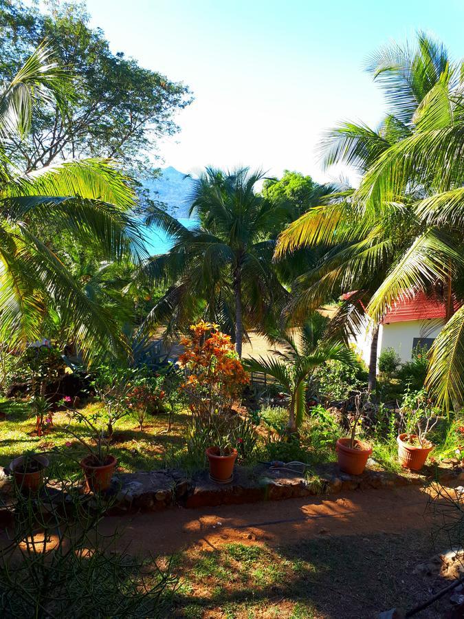 Les Jardins D'Ankify Bed & Breakfast Andimaka Bagian luar foto