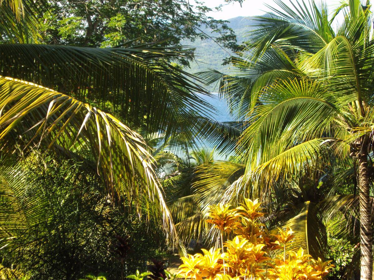 Les Jardins D'Ankify Bed & Breakfast Andimaka Bagian luar foto